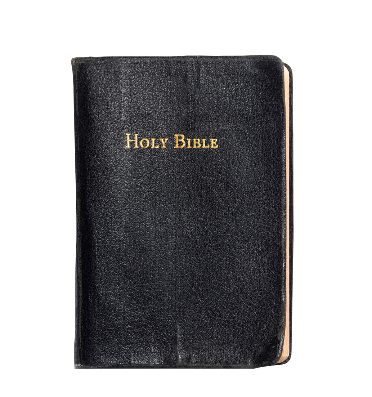 Holy Bible