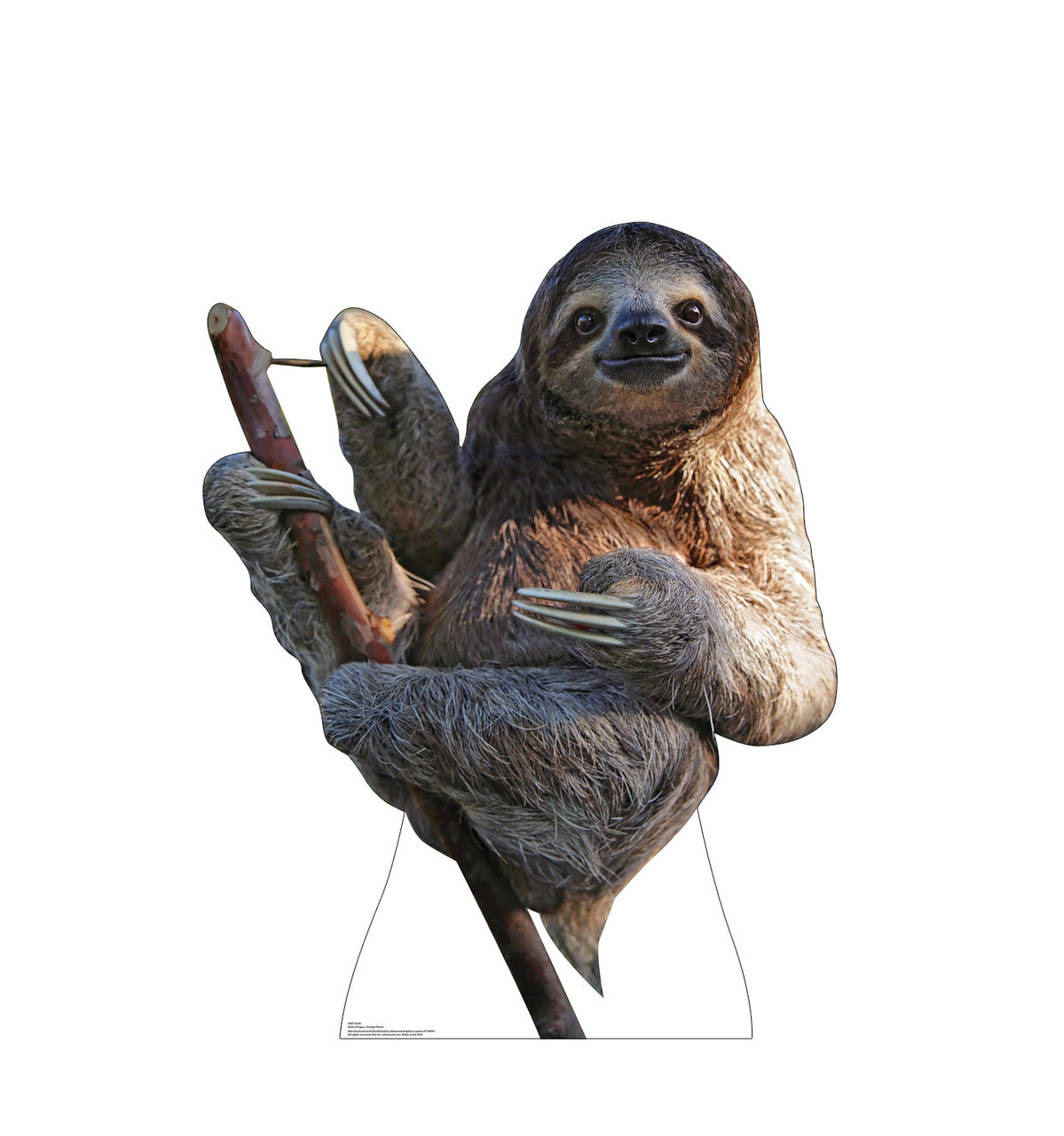 Sloth