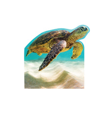 Sea Turtle