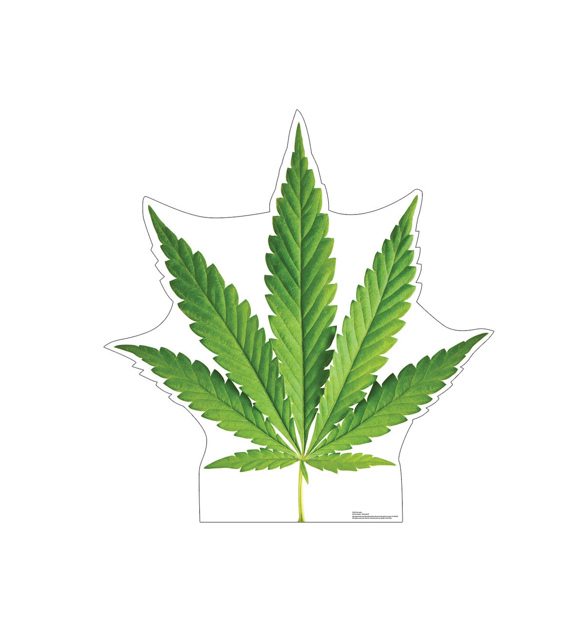 Cannabis