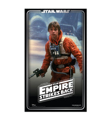 Luke Skywalker Backdrop (Star Wars 40th )