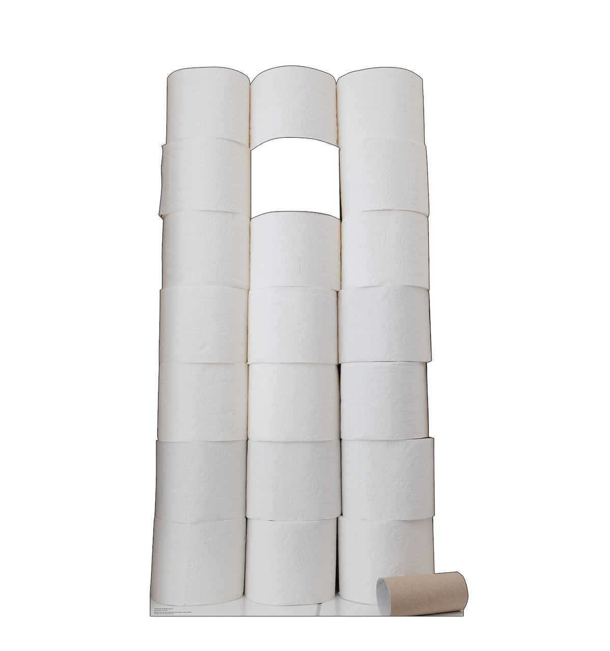 Hoarder Toilet Paper Standin