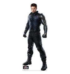Winter Soldier (Marvel's Falcon and Winter Soldier)