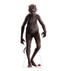 Weasel (WB The Suicide Squad 2)