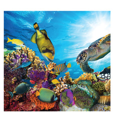 Coral Reef Backdrop