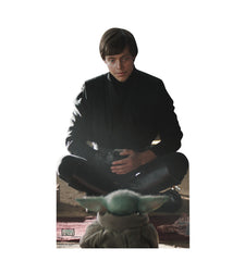 Luke Skywalker & Grogu (The Book of Boba Fett Series)