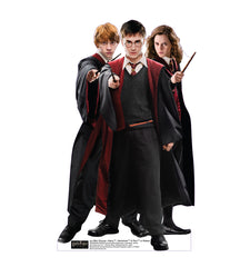 Mini Group-Harry, Hermione & Ron in Robes