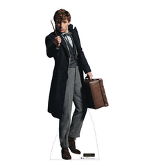 Newt Scamander (Fantastic Beast 3)
