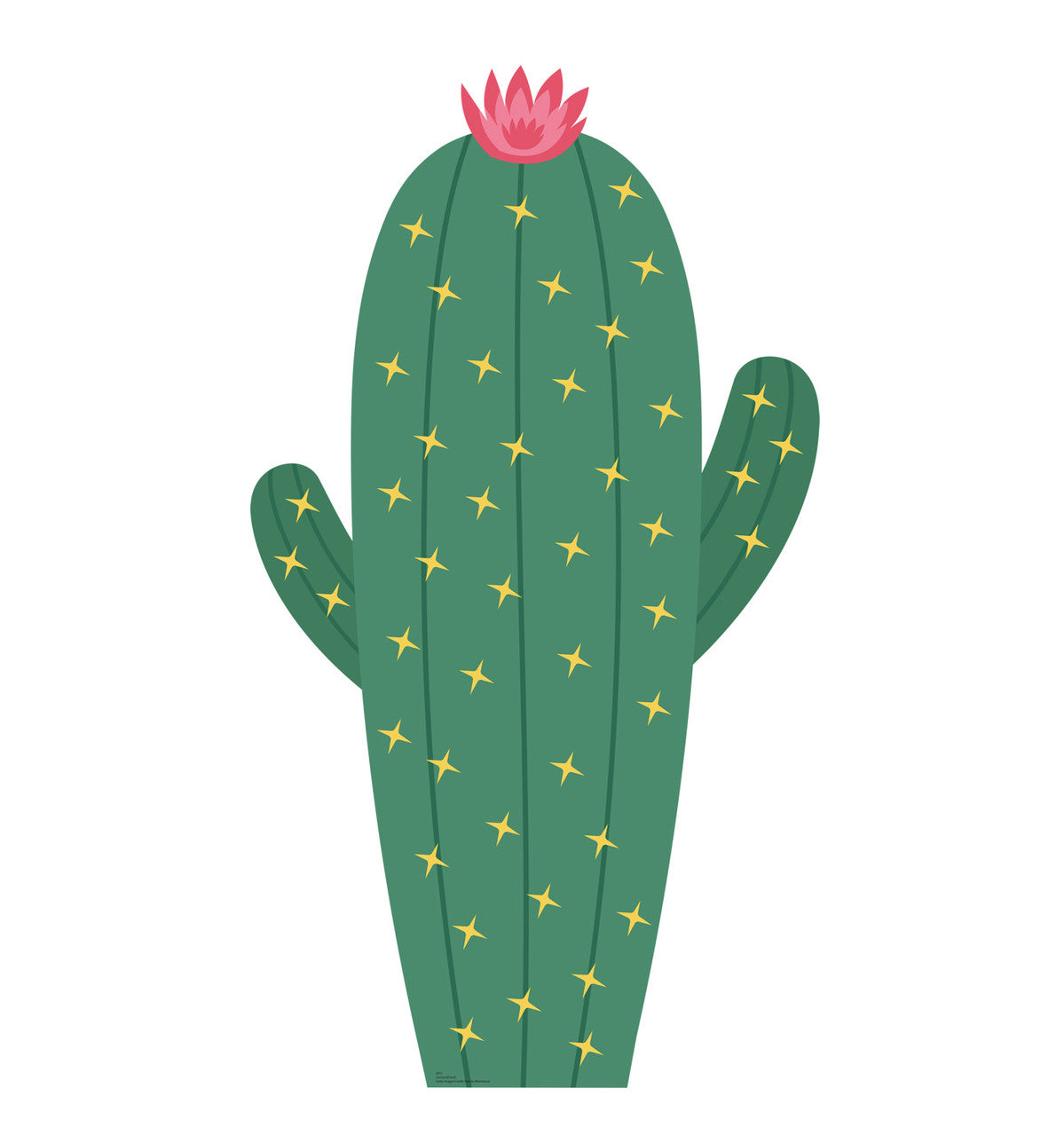 Cactus 60 Inch