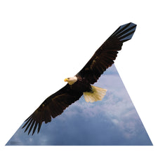 American Eagle