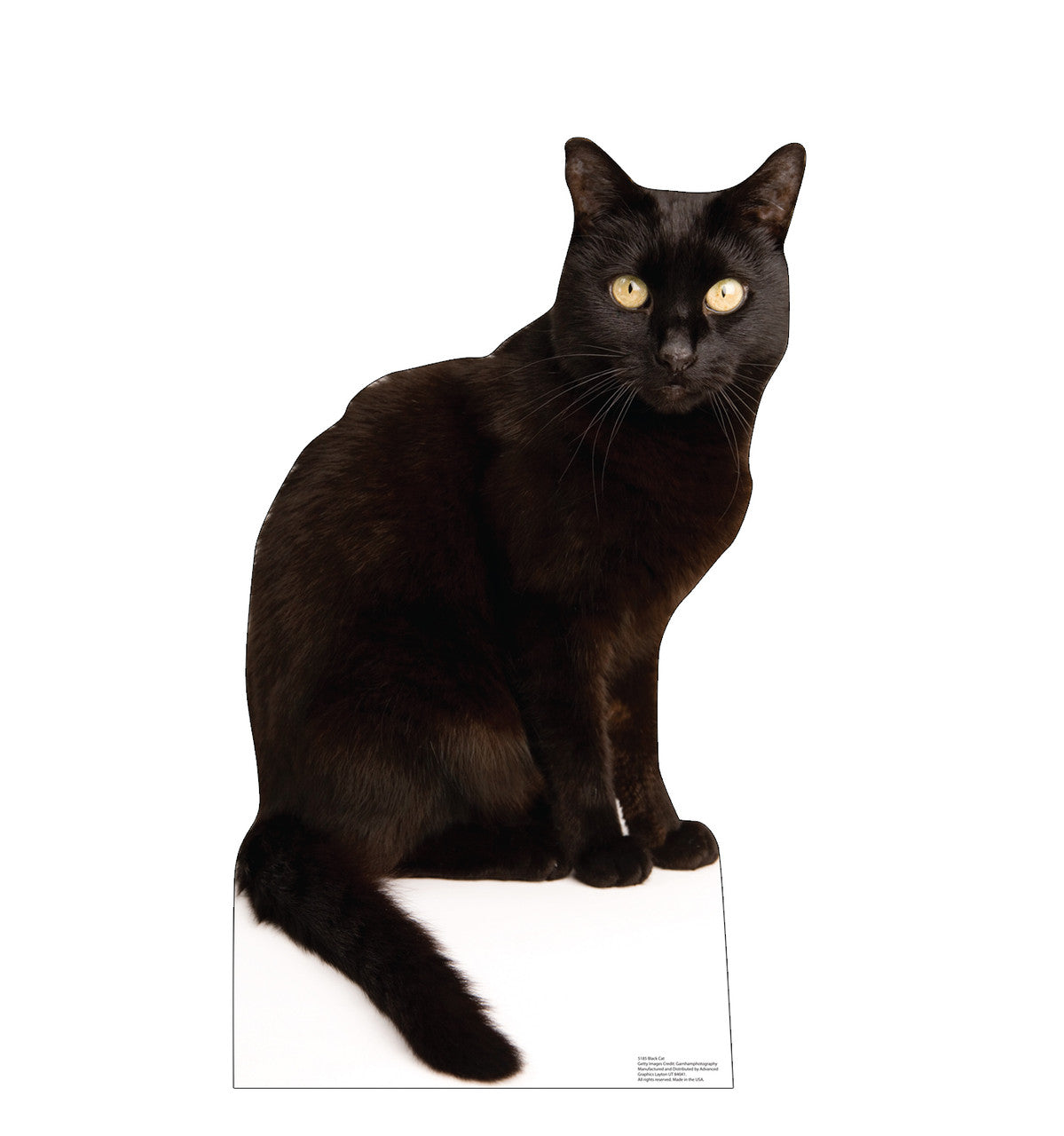 Black Cat