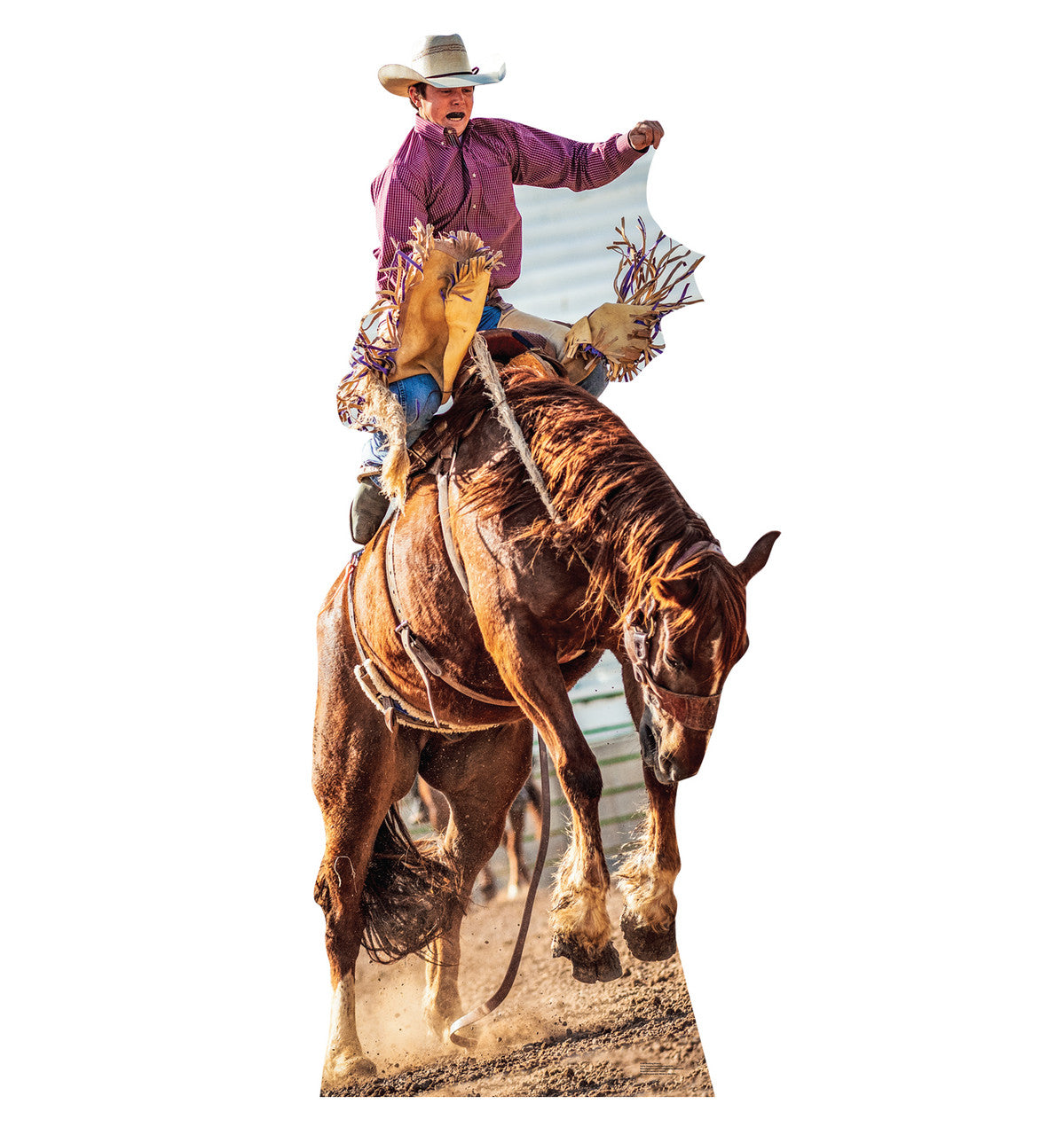 Bucking Bronco