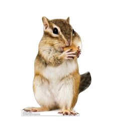 Chipmunk