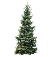 Fir Tree