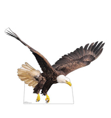 Flying Bald Eagle