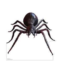 Giant Fantasy Spider