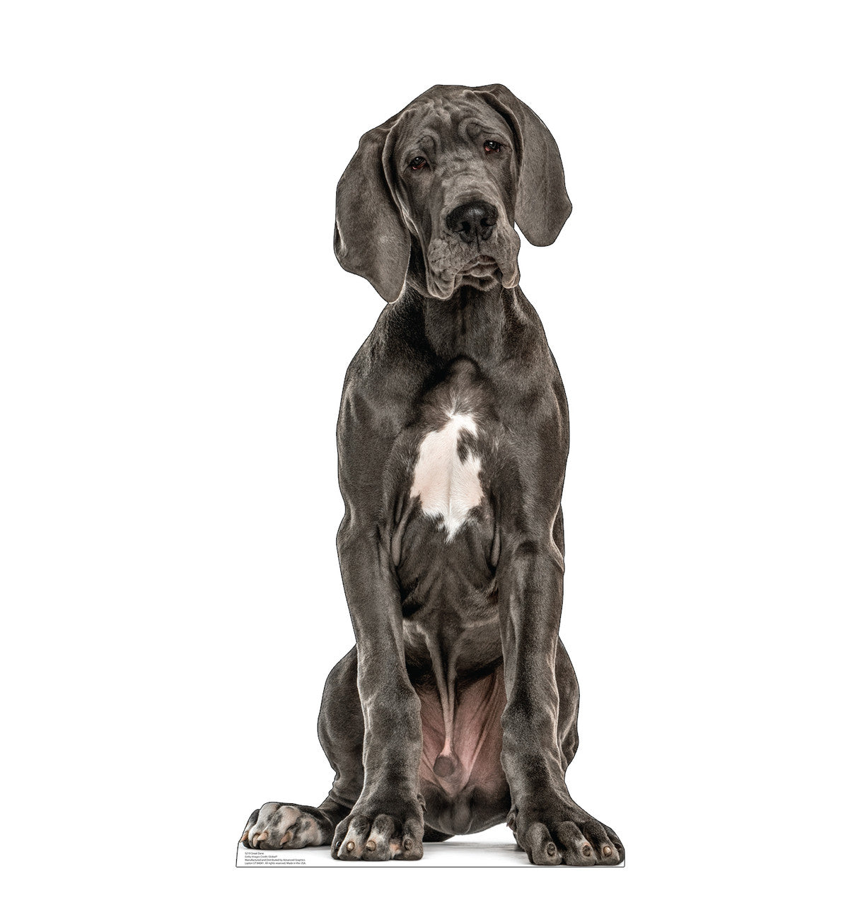 Great Dane