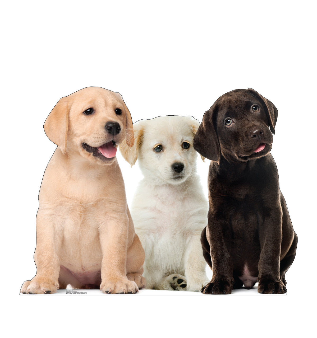 Puppy Group