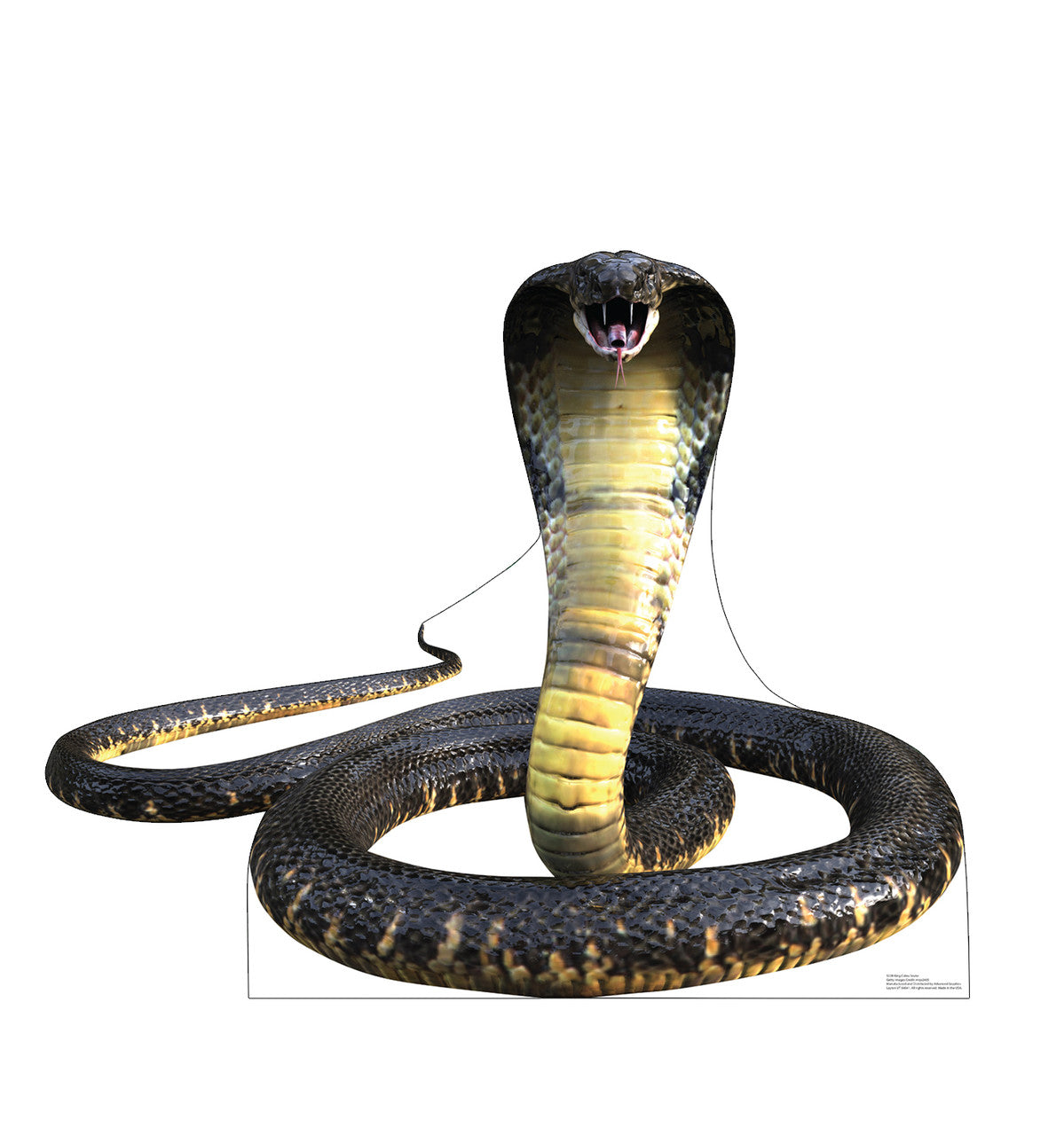 King Cobra Snake
