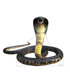 King Cobra Snake