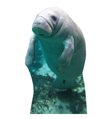 Manatees