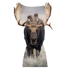 Moose