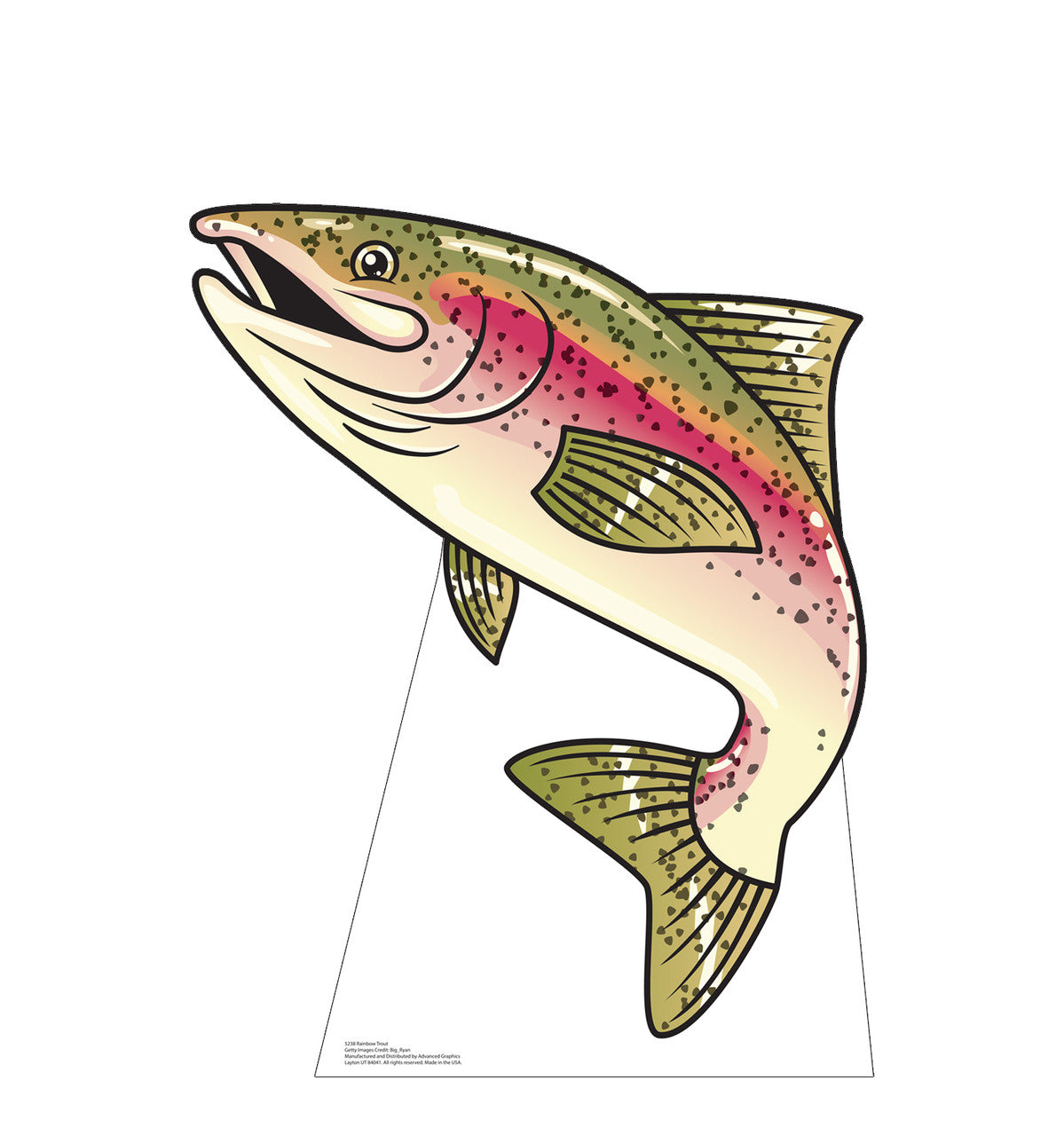 Rainbow Trout