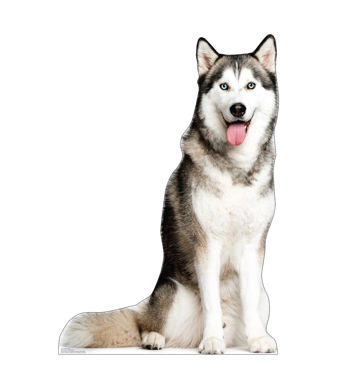 Siberian Husky