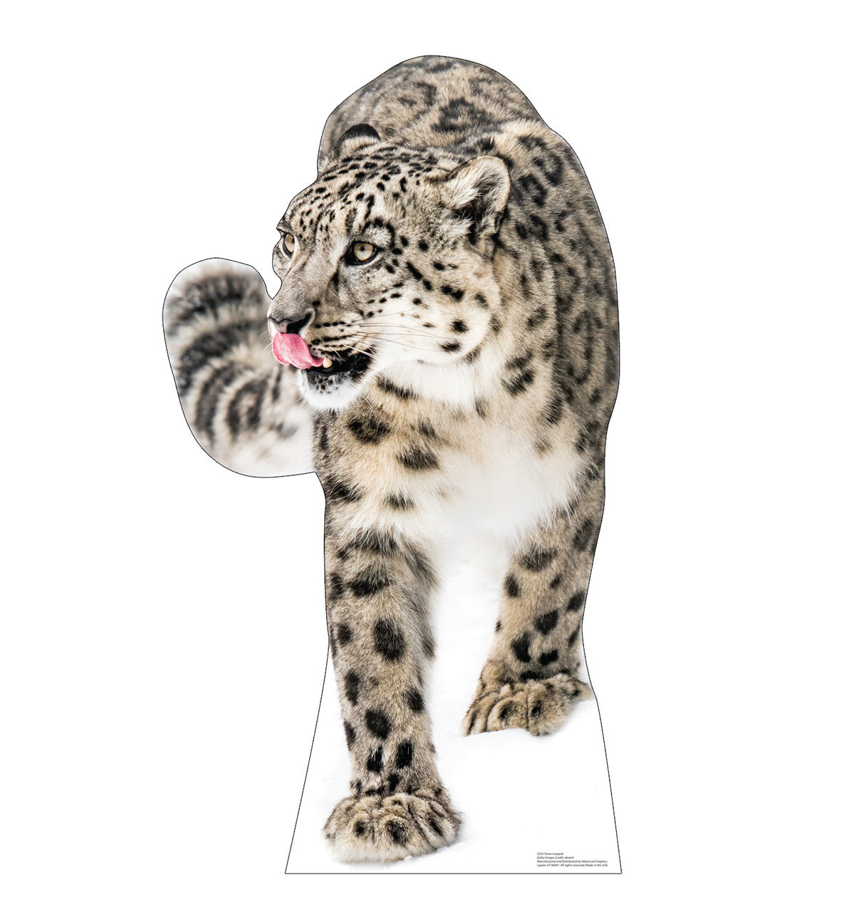 Snow Leopard