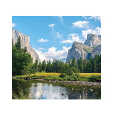 Yosemite Valley Backdrop