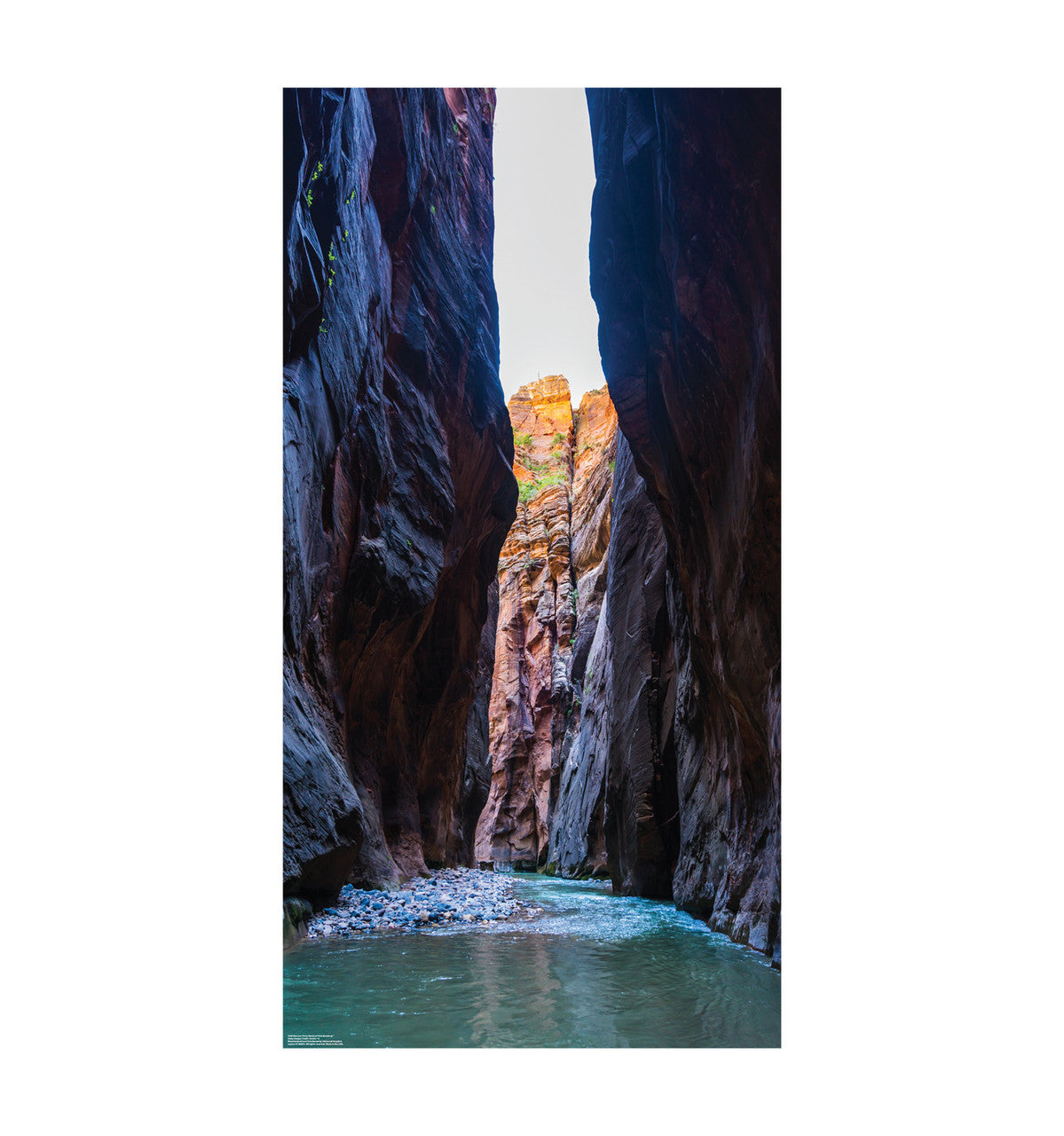 Narrows Zion National Park Backdrop