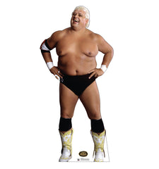 Dusty Rhodes (WWE)