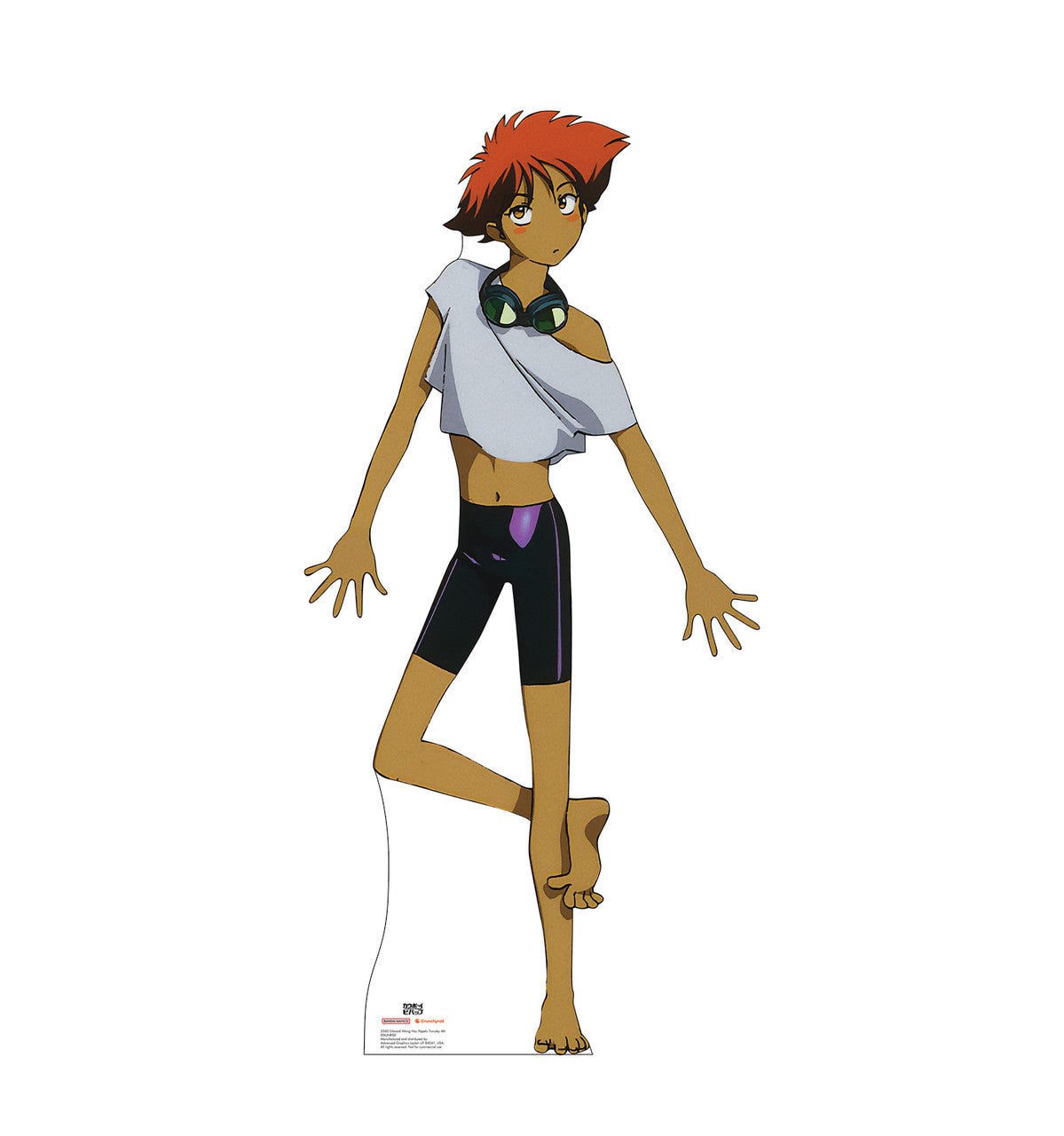 Edward Wong Hau Pepelu Tivrusky 4th (Cowboy Bebop)