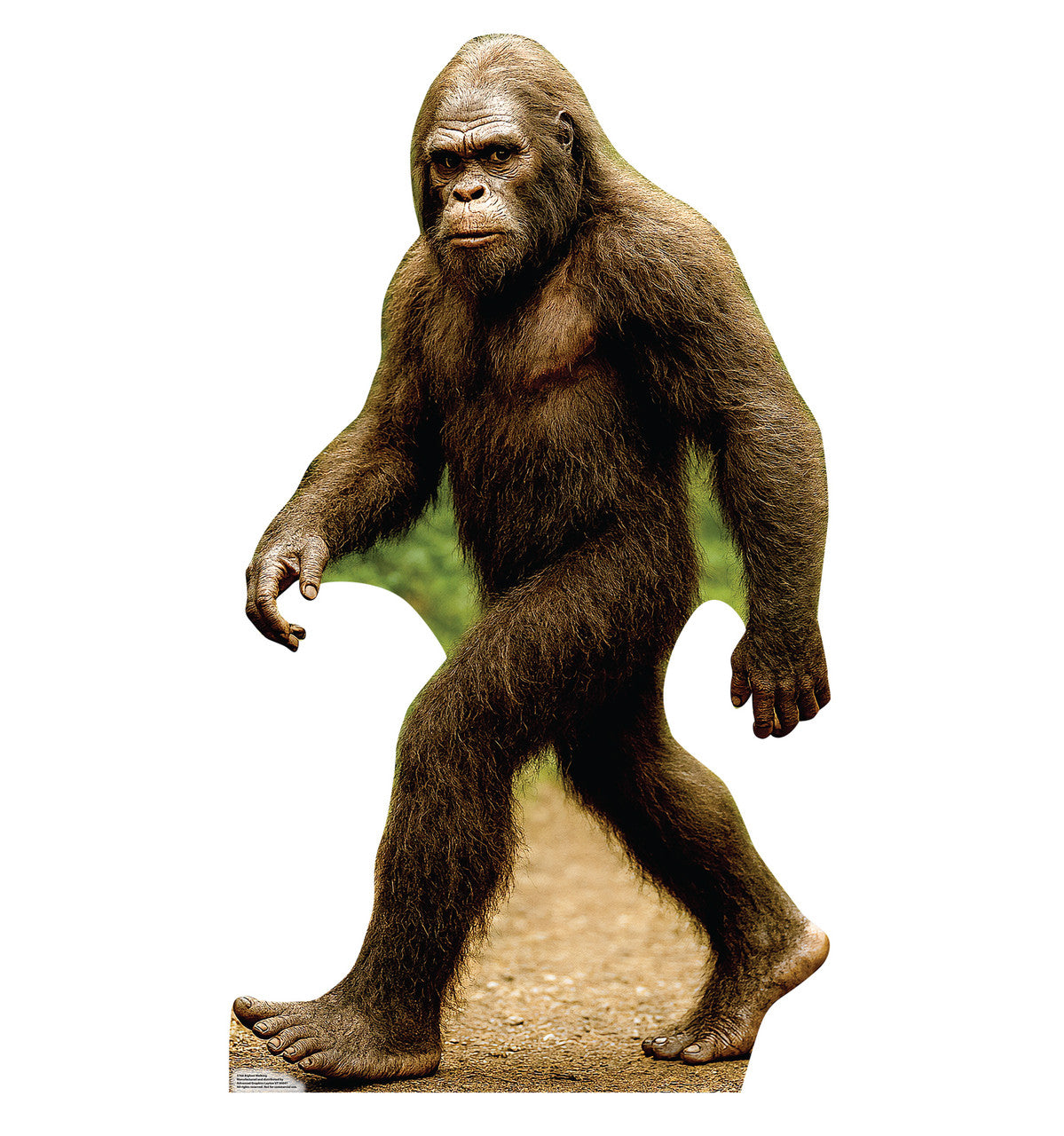 Bigfoot Walking