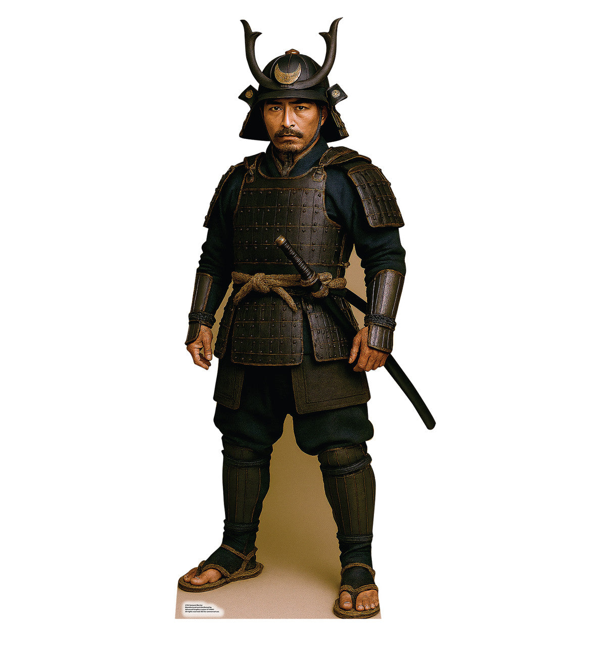 Samurai Warrior