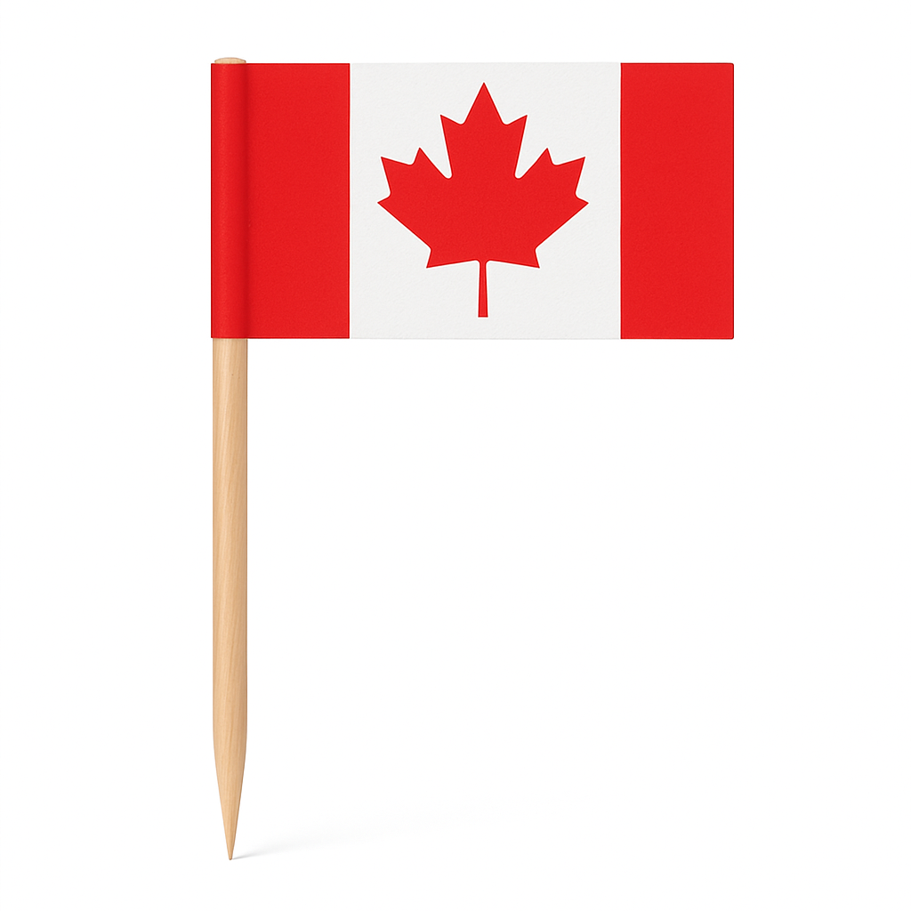 Canada Day Flag Paper Party Picks - 50 Pack