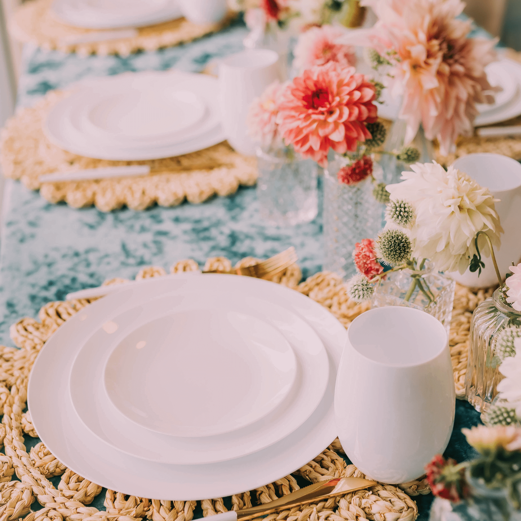 8 In. Trend White Plastic Plates | 10 Count