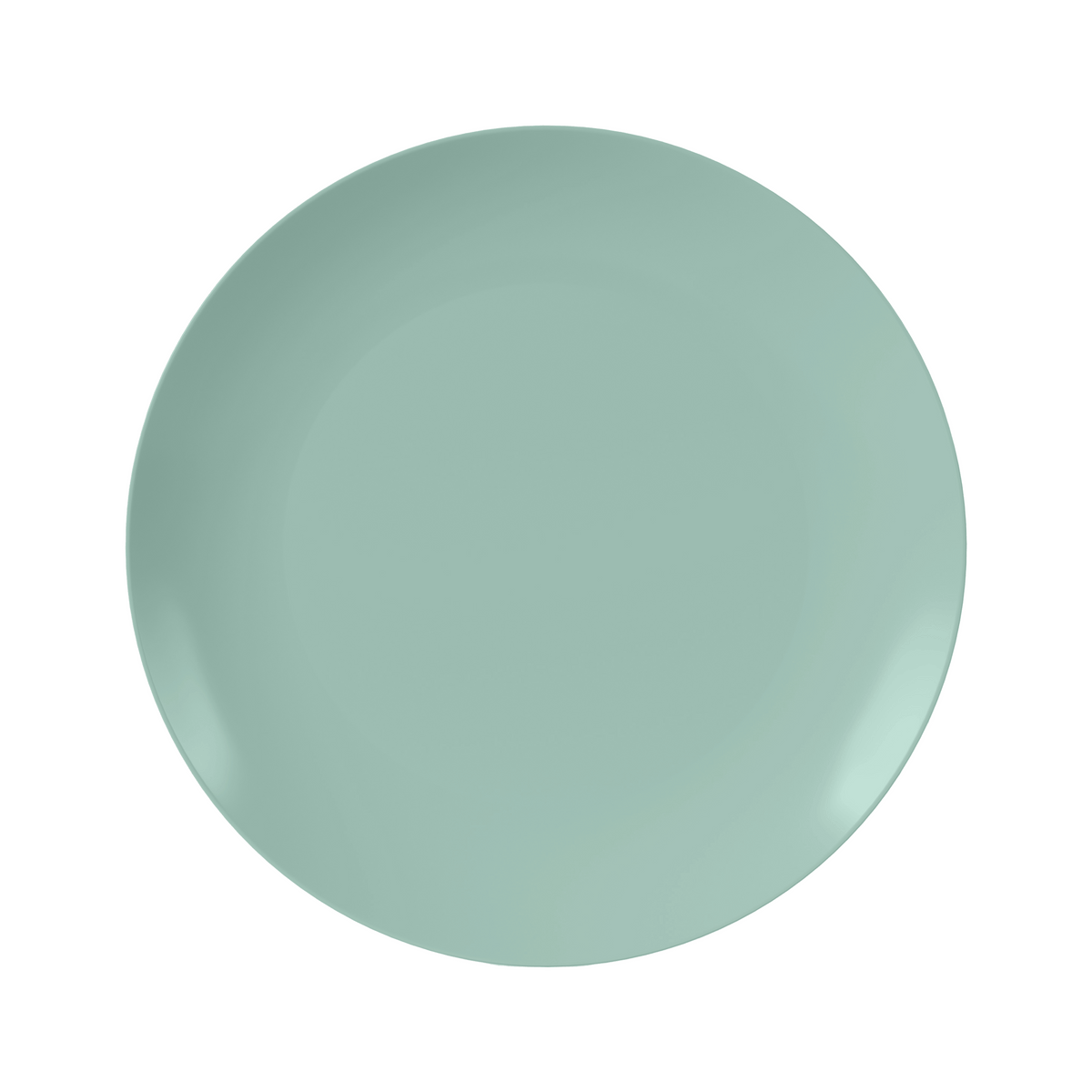 10 In. Trend Eucalyptus Plates | 10 Count