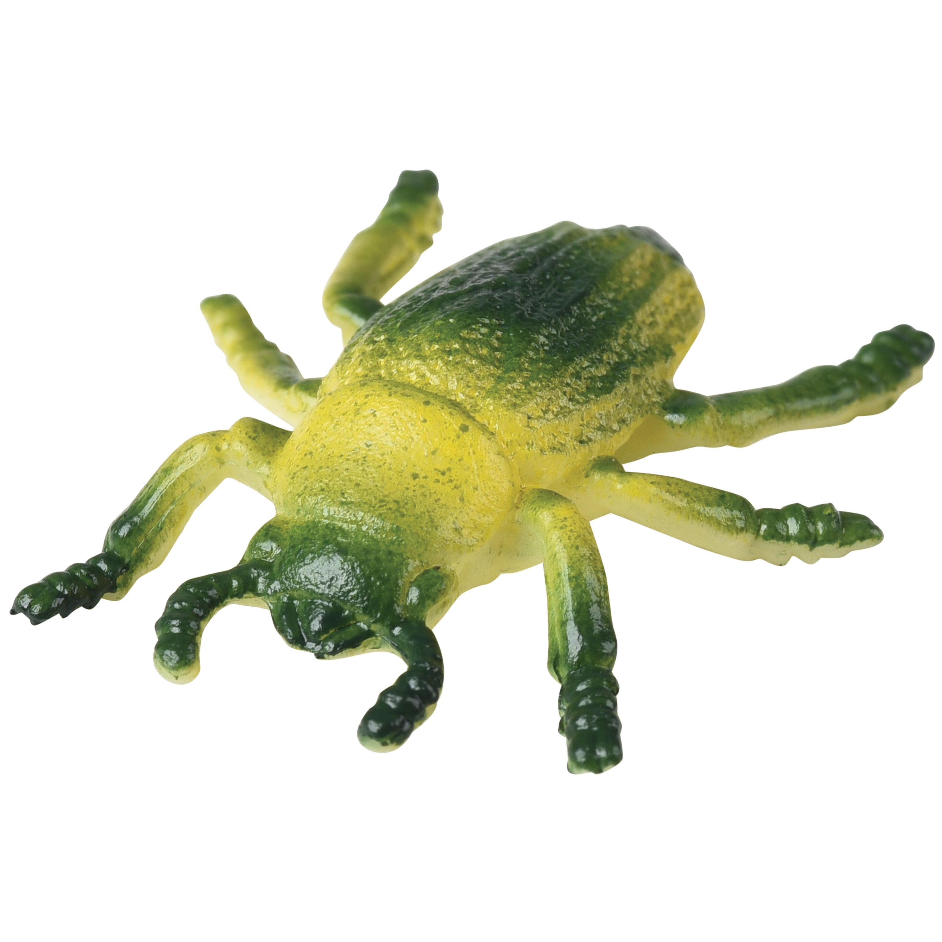 Assorted Insects/72 Per Pkg - 72 Count